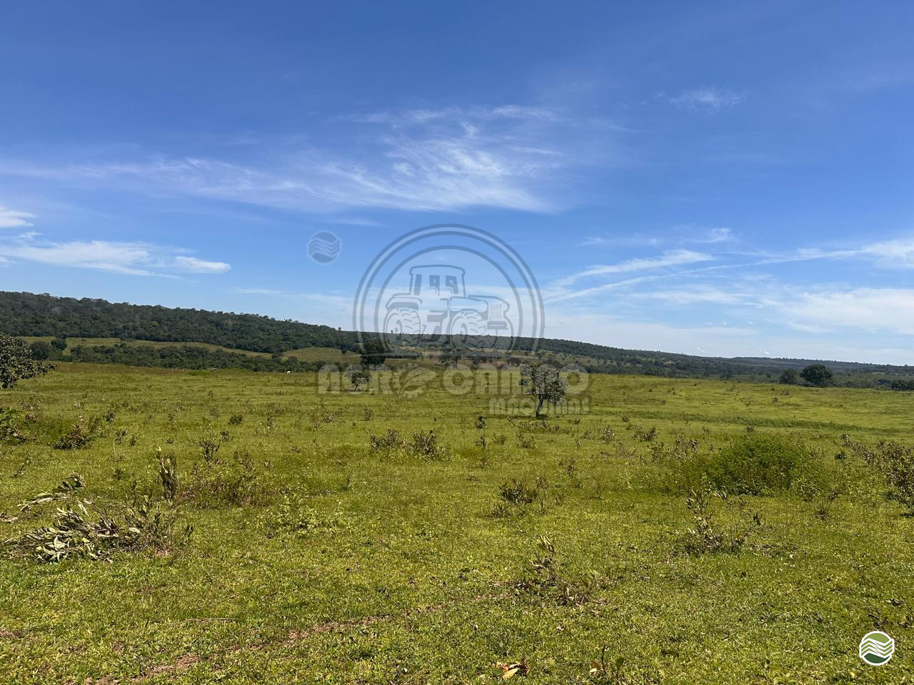 IMOVEIS IMÓVEIS FAZENDAS Agro Campo Máquinas Agrícolas PRIMAVERA DO LESTE MATO GROSSO MT